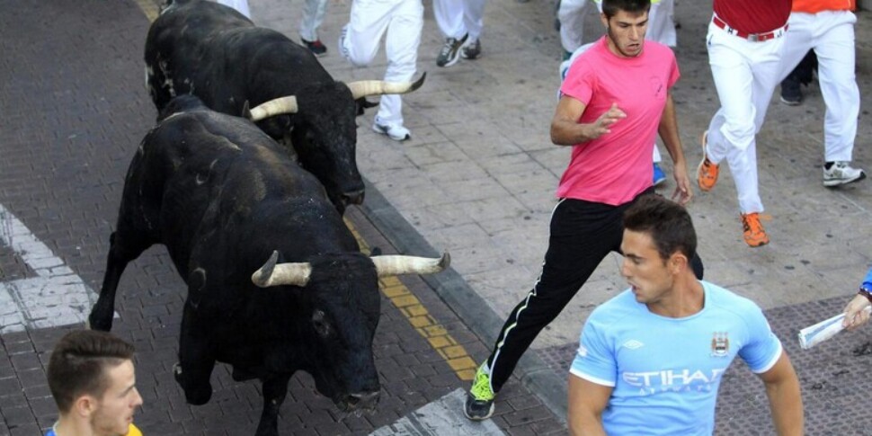 Tragica corsa dei tori a Valencia, un uomo muore incornato