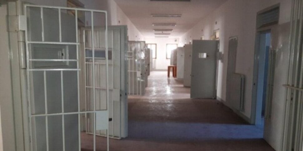 influencer arrestato in marocco dopo il video in cui mangia un cane da Feedpress.me influencer arrestato in marocco dopo il video in cui mangia un cane