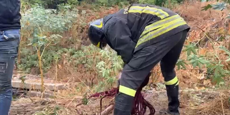 Anche il soccorso alpino Gdf per le ricerche di Marianna Bello, la 38enne dispersa a Favara dopo il nubifragio