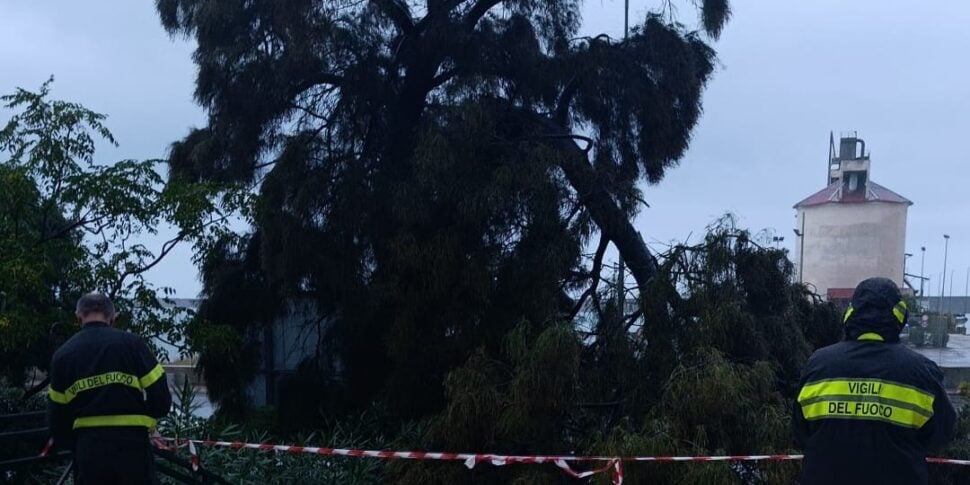 Maltempo su Crotone, oltre trenta interventi dei vigili del fuoco: strade allagate a Steccato di Cutro Maltempo su Crotone, oltre trenta interventi dei vigili del fuoco: strade allagate a Steccato di Cutro