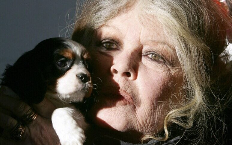 Brigitte Bardot ricoverata in ospedale per un intervento, le sue condizioni preoccupano