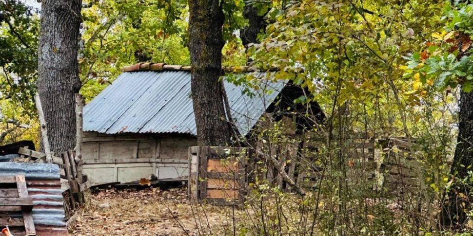 dal bosco alla casa il caso della famiglia del bosco 232 in via di risoluzione accettato l immobile di un privato