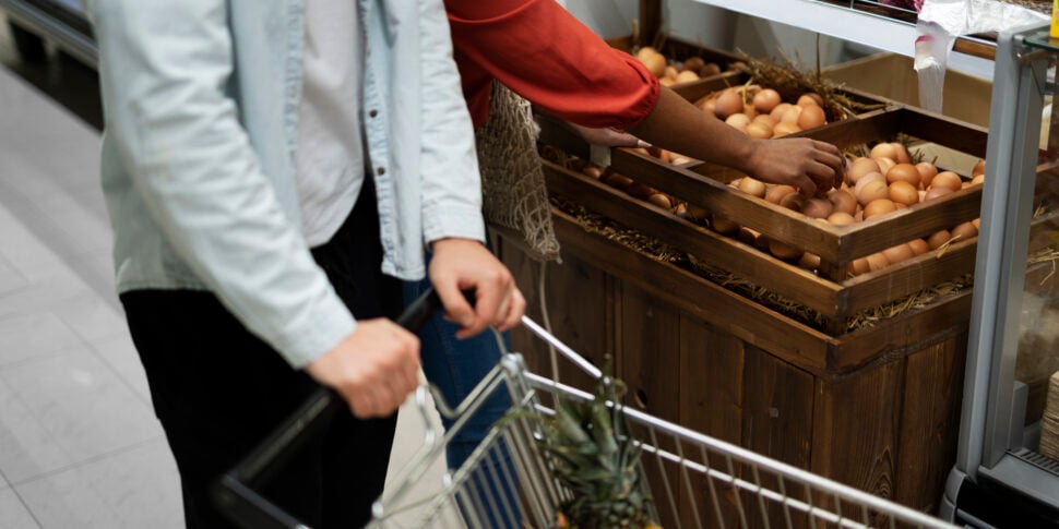 carrello della spesa l8217istat avverte i beni alimentari travolgono il potere d8217acquisto degli italiani