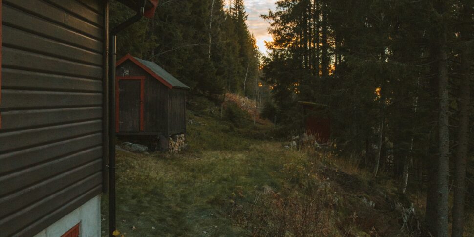 santone fermato per maltrattamenti a minori a gibilmanna da Feedpress.me santone fermato per maltrattamenti a minori a gibilmanna