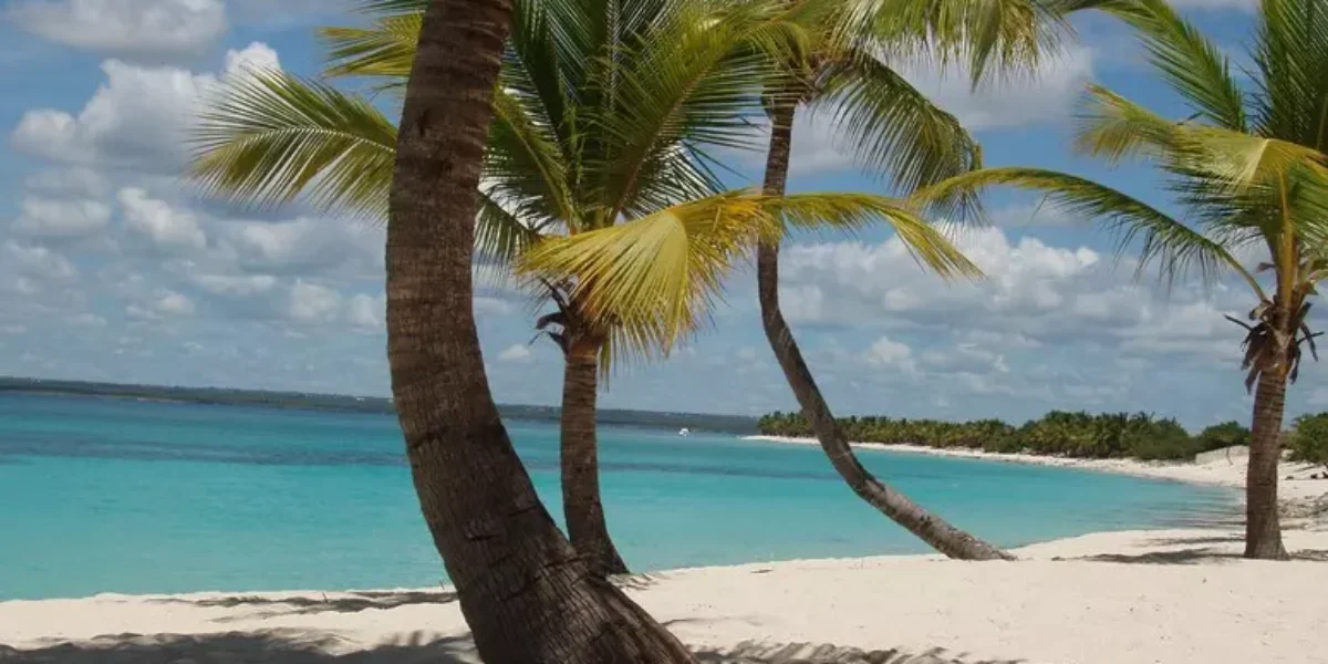 incendio in un resort della repubblica dominicana morta una donna italiana coinvolti oltre 280 connazionali da Gazzettadelsud.it incendio in un resort della repubblica dominicana morta una donna italiana coinvolti oltre 280 connazionali