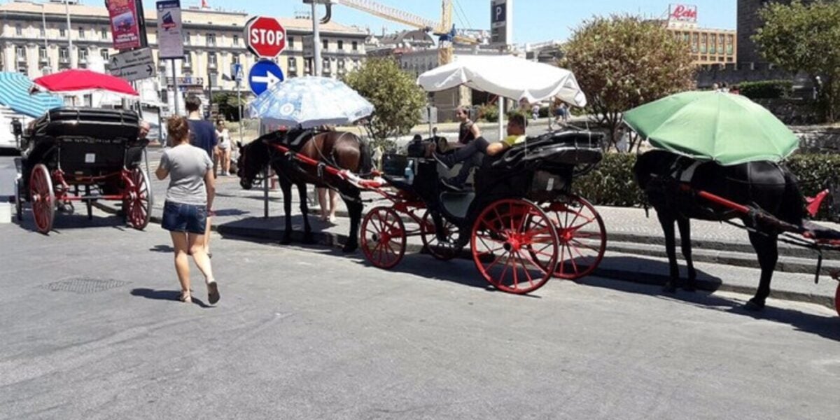 palermo dice addio alle carrozze con i cavalli arrivano quelle elettriche da Gazzettadelsud.it palermo dice addio alle carrozze con i cavalli arrivano quelle elettriche