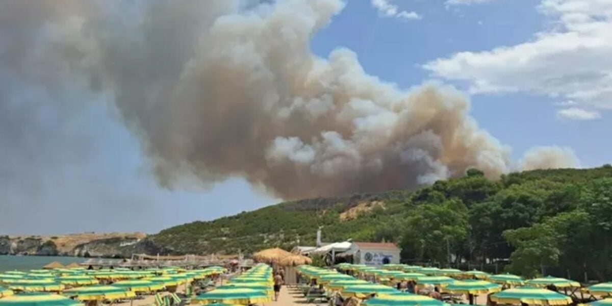 incendi sul gargano e in molise evacuate spiagge e campeggi anziani trasferiti da una rsa da Gazzettadelsud.it incendi sul gargano e in molise evacuate spiagge e campeggi anziani trasferiti da una rsa