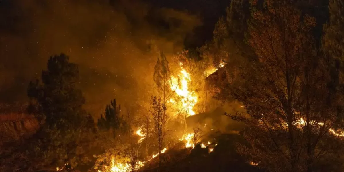 maxi incendio in andalusia oltre 150 chiamate ai soccorsi forse causato da un cavo elettrico dodici le vittime da Gazzettadelsud.it maxi incendio in andalusia oltre 150 chiamate ai soccorsi forse causato da un cavo elettrico dodici le vittime